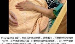 李坤城儿子爆料视频,揭秘父子情深背后的惊人内幕